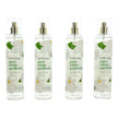 Pure White Gardenia by Bodycology, 4 Pack 8oz Fragrance Mist women